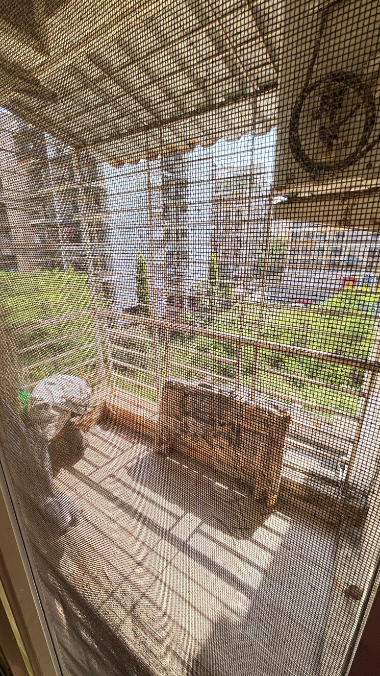 Balcony, jhv-hira-laxmi-heights 2 Bedroom 850 Sq.Ft. Apartment In Ulwe Sector 9 Navi Mumbai 9508448