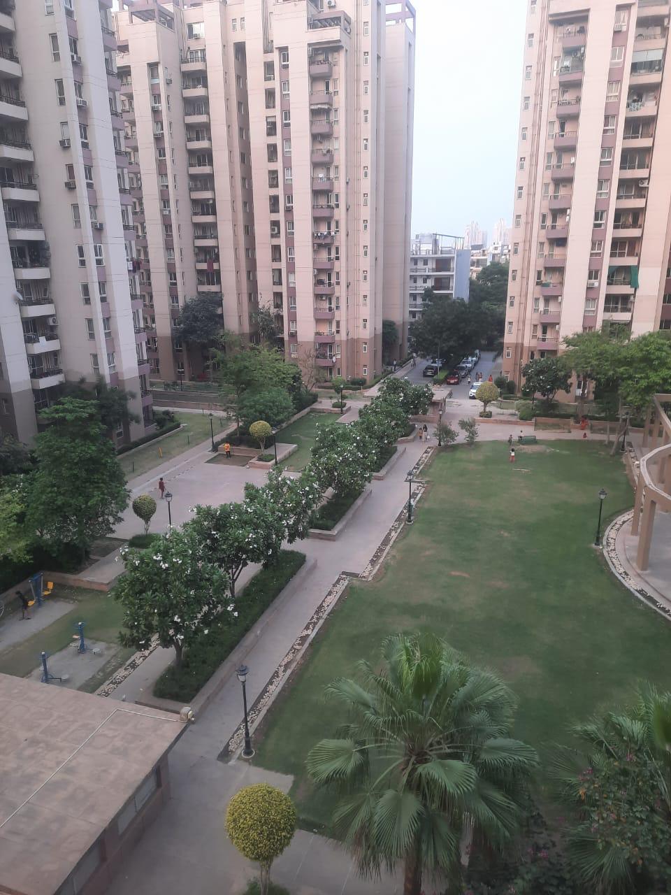 4 BHK Apartment For Rent in Orchid Petals