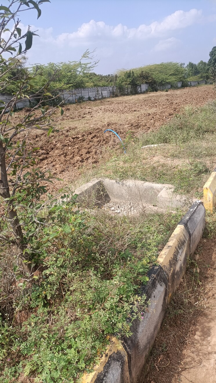 undefined, kothur  200 Sq.Yd. Plot In Kothur Hyderabad 9508679