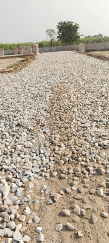 Plot Area in  Plot at Rohta Road – for Sale