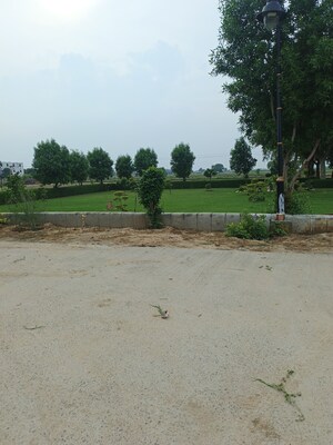 Plot Area in  Plot at Dankaur – for Sale