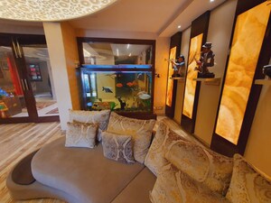 Living Room in 2 BHK Builder Floor at Sector 14 – for Rent