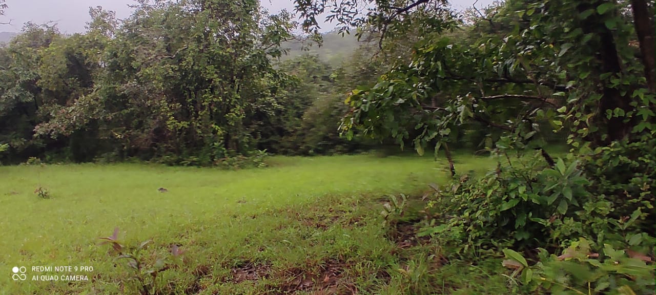 Plot For Sale in Ivory Estate Baner