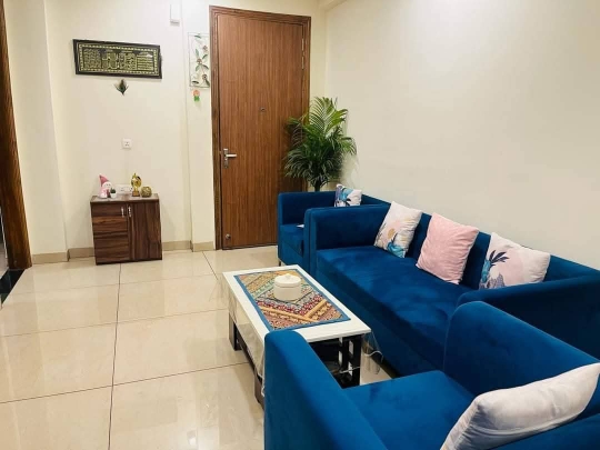 1 BHK Apartment For Rent in Freedom Fighters Enclave