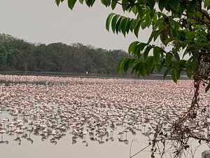 2 BHK Apartment – Exterior View View at Universal The Oasis, Cbd Belapur Sector 30 - for Sale