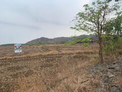 Plot For Sale in Bunglow Plot 