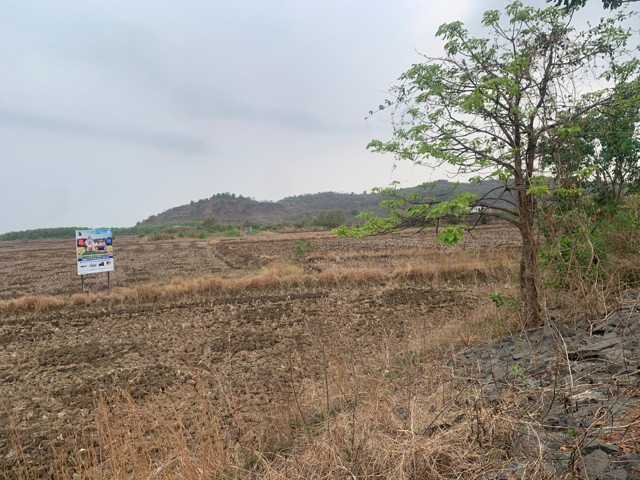Plot For Sale in Bunglow Plot 