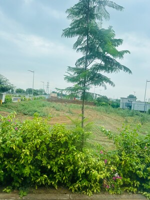 Plot Area in 2 BHK Apartment at Sector 5 – for Sale