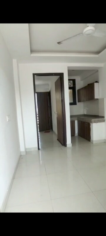 1 BHK Builder Floor For Rent in Chattarpur