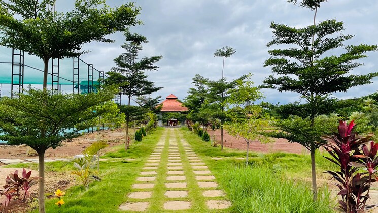 Garden, real-woxen-county  172 Sq.Yd. Plot In Ghanpur Hyderabad 9509356