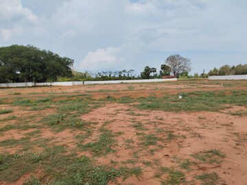  Plot For Sale in Nanjikottai