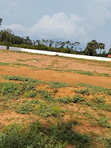 Plot Area in  Plot at Nanjikottai – for Sale