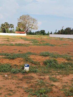 Plot Area in  Plot at Nanjikottai – for Sale