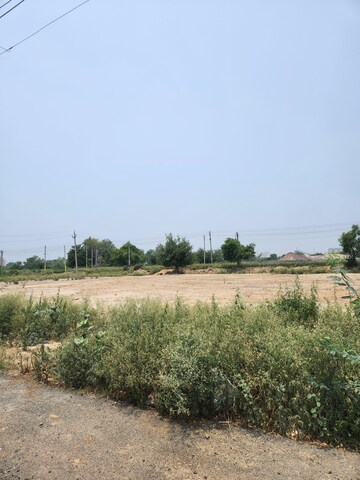  Plot For Sale in Sector 11