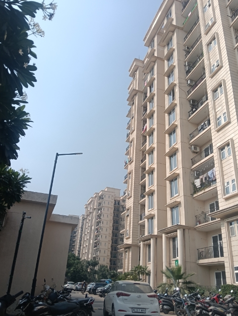 2 BHK Apartment For Sale in Signature The Serenas