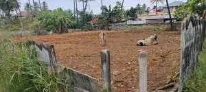 Plot Area in  Plot at West Fort – for Sale