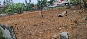 Plot Area in  Plot at West Fort – for Sale