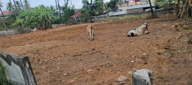 undefined, west fort  3049 Sq.Ft. Plot In West Fort Thrissur 9488784