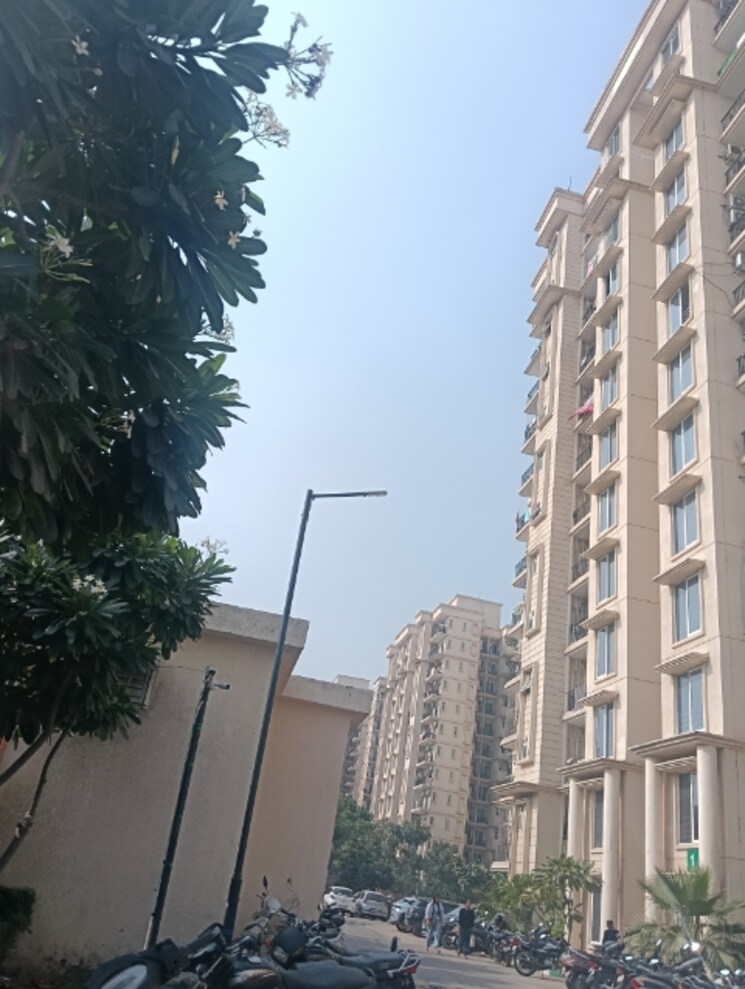 Exterior View, signature-the-serenas 2 Bedroom 583 Sq.Ft. Apartment In Sohna Sector 36 Gurgaon 9509902