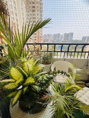 Balcony in 2 BHK Apartment at Prestige Lakeside Habitat, Varthur – for Rent