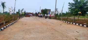 Plot Area in  Plot at Tappal – for Sale