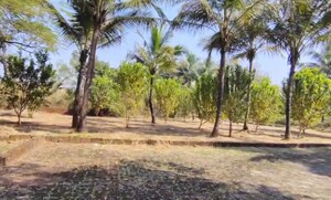 Plot Area in  Plot at Pali – for Sale