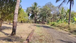 Plot Area in  Plot at Pali – for Sale
