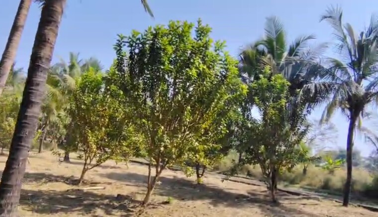 Garden, pali  20 Acre Plot In Pali Navi Mumbai 9510225