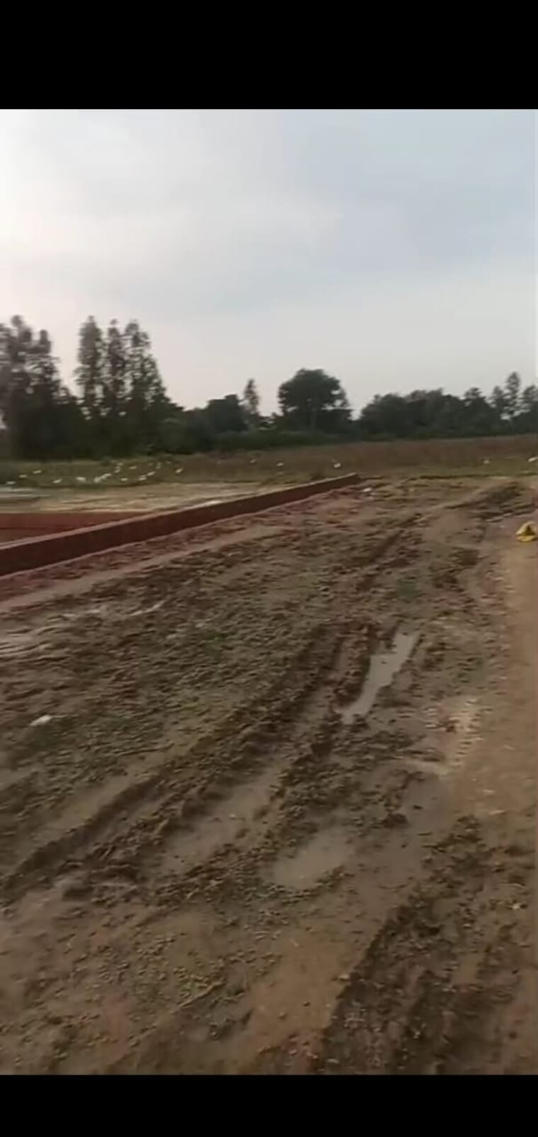 undefined, sushant golf city  2000 Sq.Ft. Plot In Sushant Golf City Lucknow 9510260