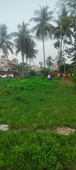 19000 Sq.Ft. Showroom in Kristi Villa