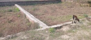  Plot For Sale in Motiram Adda