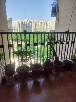 Gym in 2 BHK Apartment at Logix Blossom County, Sector 137 – for Rent