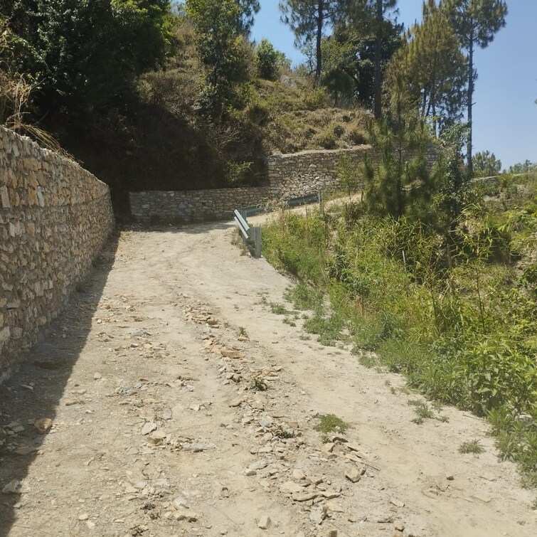 Cover Image, dadri  900 Sq.Ft. Plot In Dadri Greater Noida 9510577