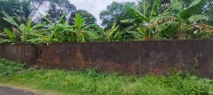 Plot Area in  Plot at Chembukkav – for Sale