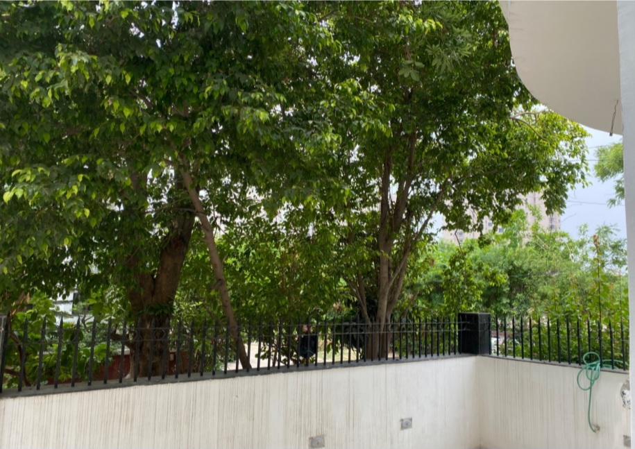 3 BHK 2900 Sq.Ft. Villa in Ansal Oriental Villa