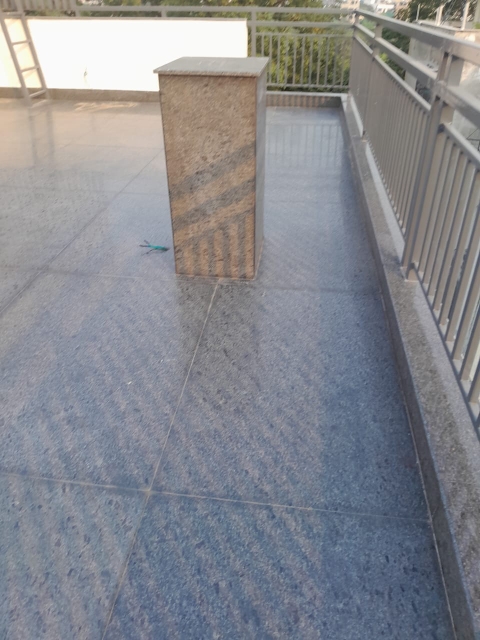 4 BHK Builder Floor For Sale in Anand Niketan