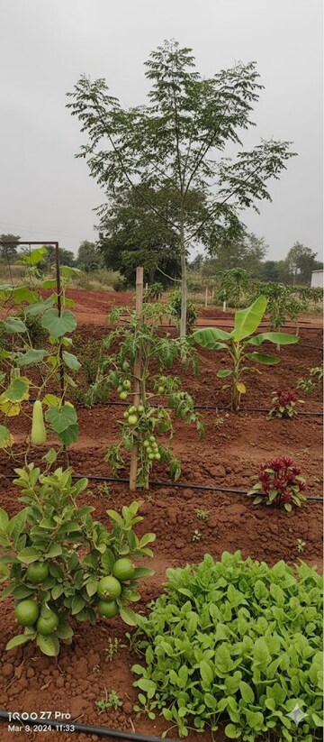  Plot For Sale in Shankarpalli