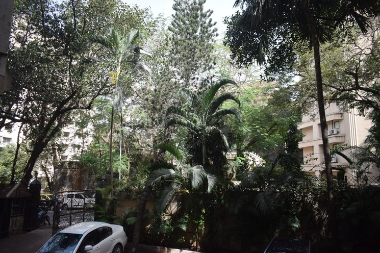 Garden, nepean sea road 2 Bedroom 1000 Sq.Ft. Apartment In Nepean Sea Road Mumbai 9512194