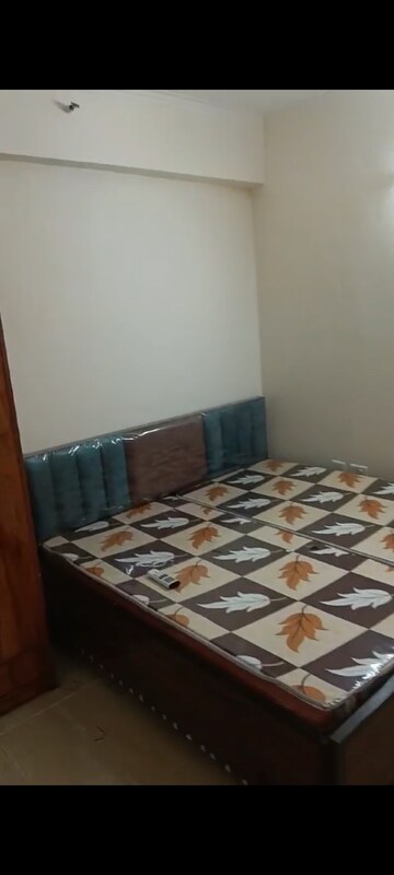 1 BHK Apartment For Rent in Gaur City 2 - 14th Avenue, Sector 16c Greater Noida