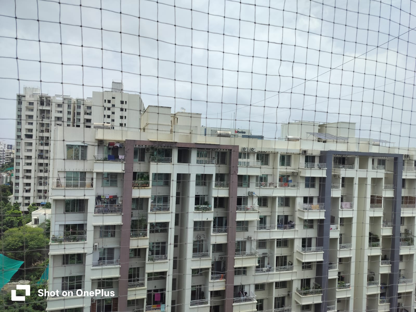 2 BHK + Servant Room Apartment For Rent in Rohan Leher