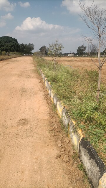  Plot For Sale in Kothur