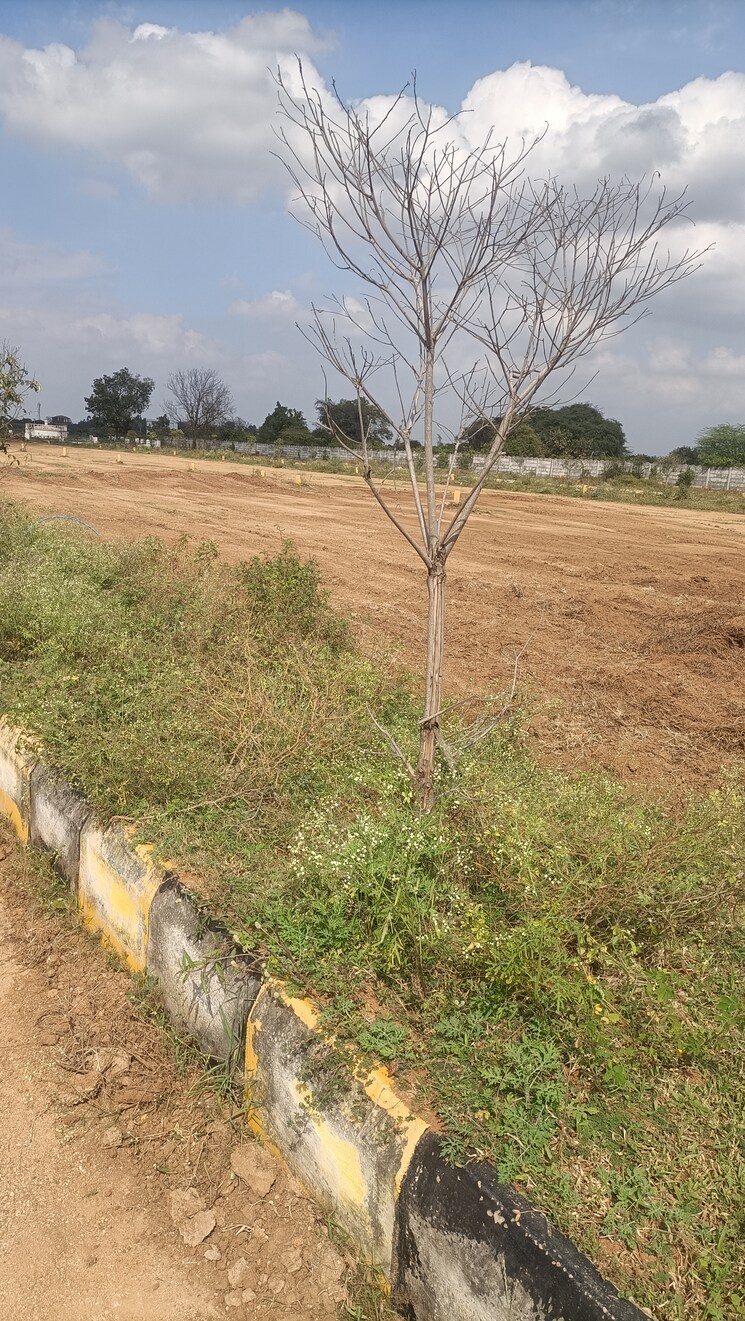 undefined, kothur  200 Sq.Yd. Plot In Kothur Hyderabad 9512489