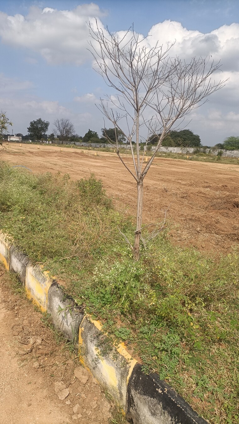 undefined, kothur  200 Sq.Yd. Plot In Kothur Hyderabad 9512489