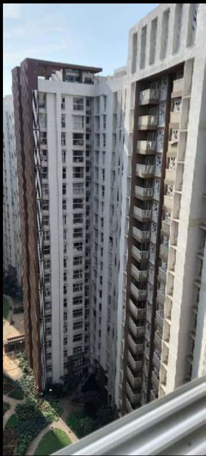 1 BHK + Pooja Room 487 Sq.Ft. Apartment in Lodha Upper Thane Greenville A To I