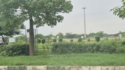 Plot For Sale in Sector 80