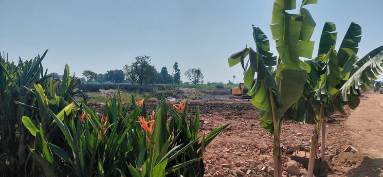 Garden, nadergul  100 Sq.Yd. Plot In Nadergul Hyderabad 9513026