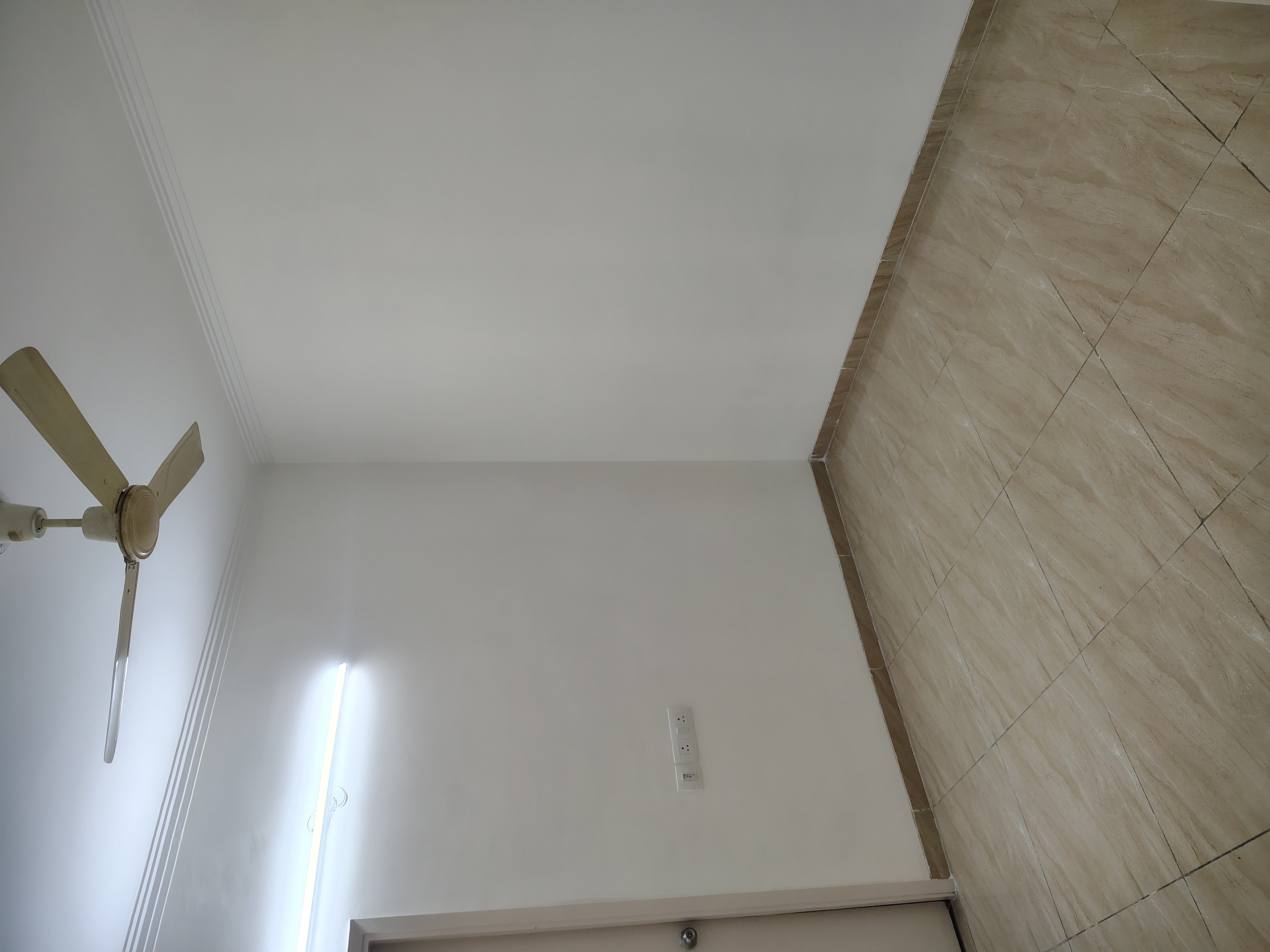 2 BHK Apartment For Rent in Stellar Mi Citihomes