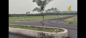  Plot For Sale in Bhogapuram