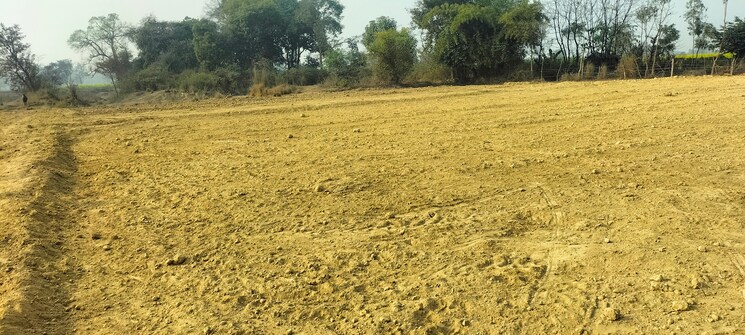 undefined, kisan path  6300 Sq.Ft. Plot In Kisan Path Lucknow 9513940