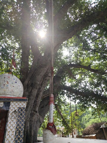  Plot – Exterior View View at Wave City - for Sale